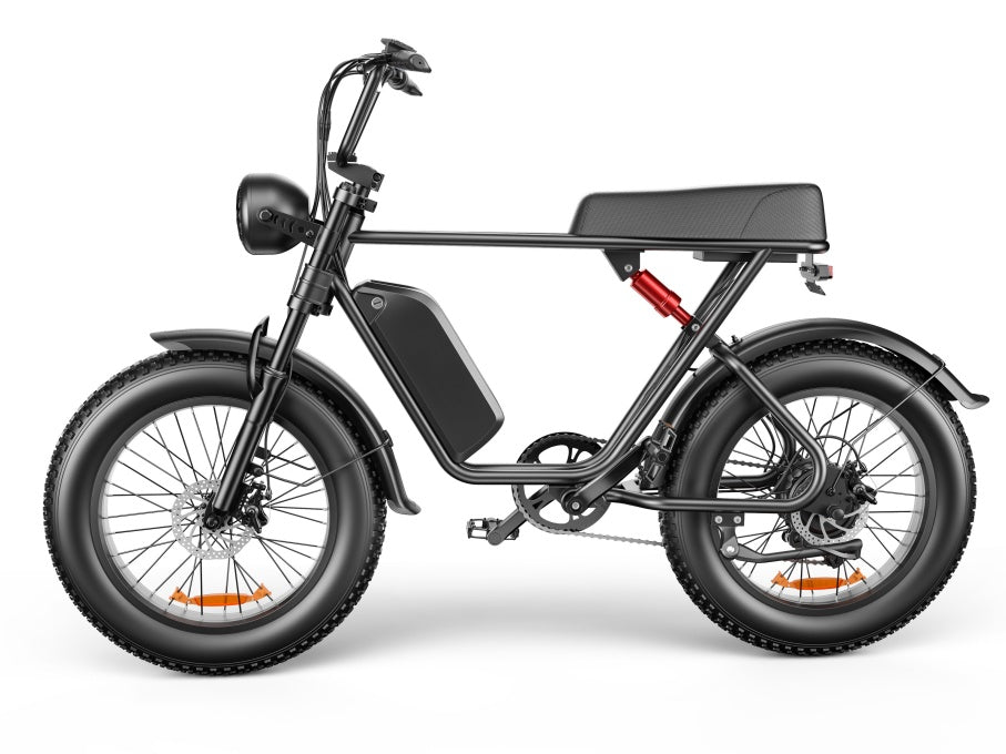 20 Inch 20A Electric Bike