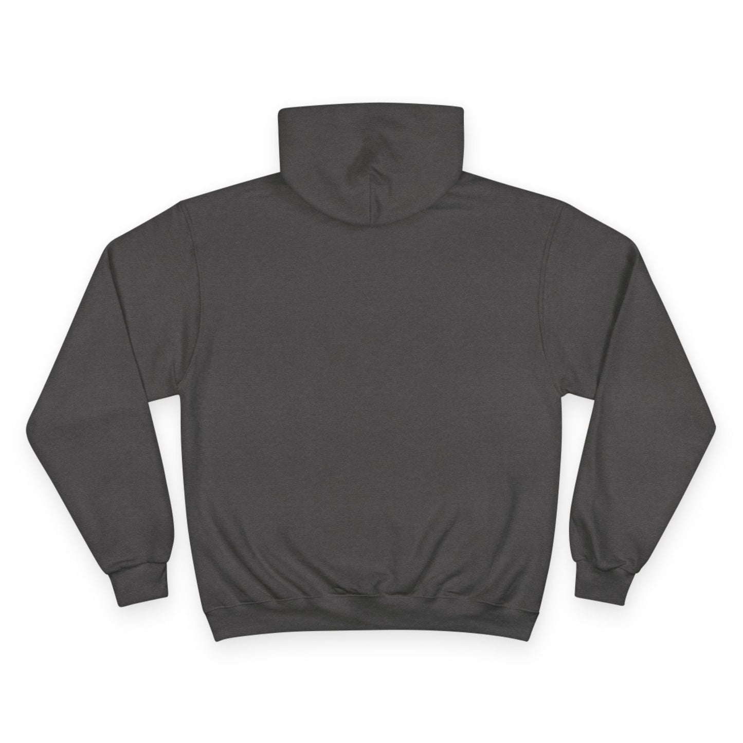 Justice for Gaza Champion Hoodie | Activist Apparel, Social Justice Fashion, Statement Clothing, Thoughtful Gifts, Comfortable Wear