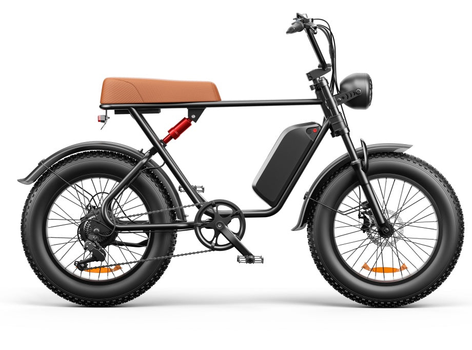 20 Inch 20A Electric Bike