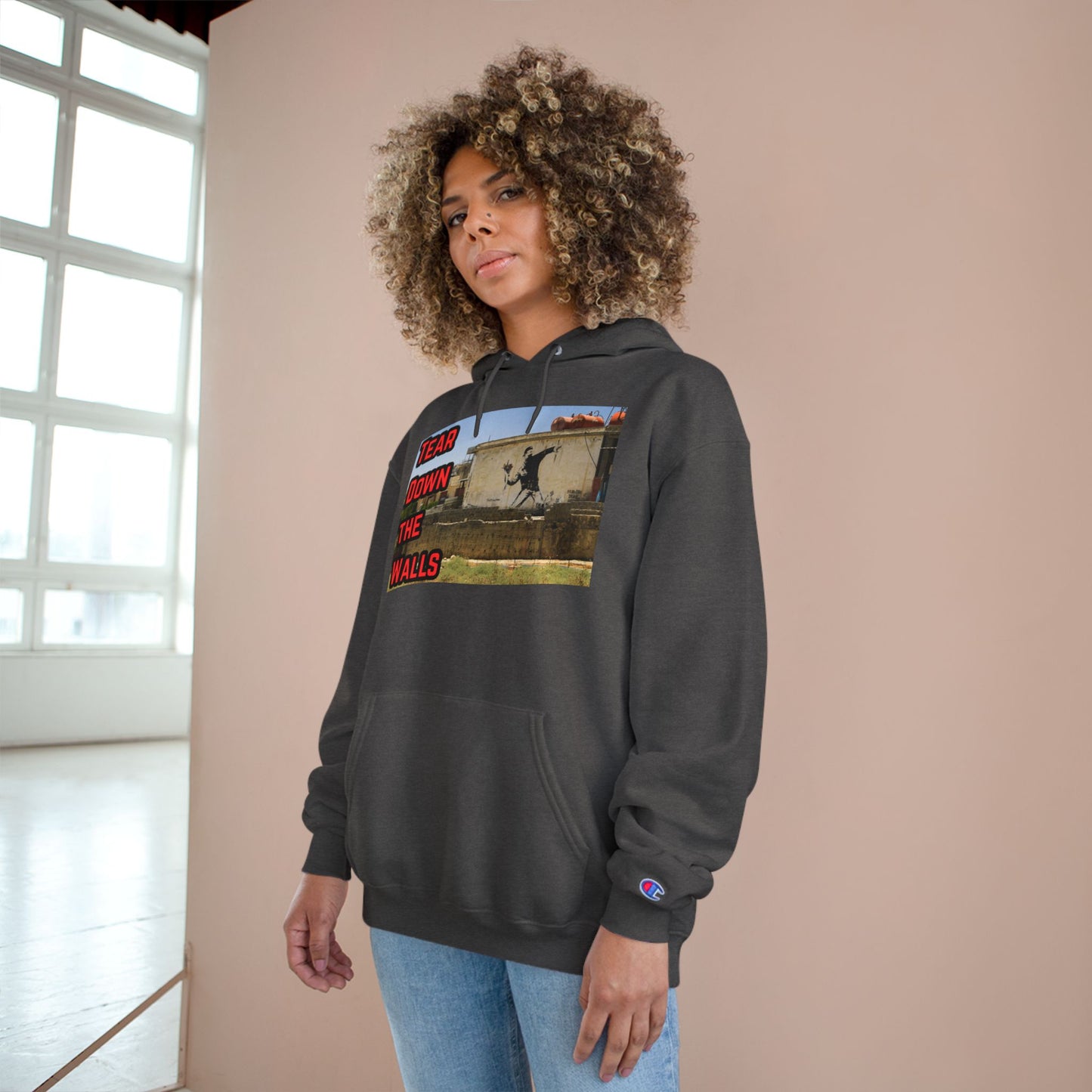 Obey LLC Hoodie - Tear Down the Walls, Streetwear Style, Casual Wear, Gift for Artists, Unique Graphic Sweatshirt
