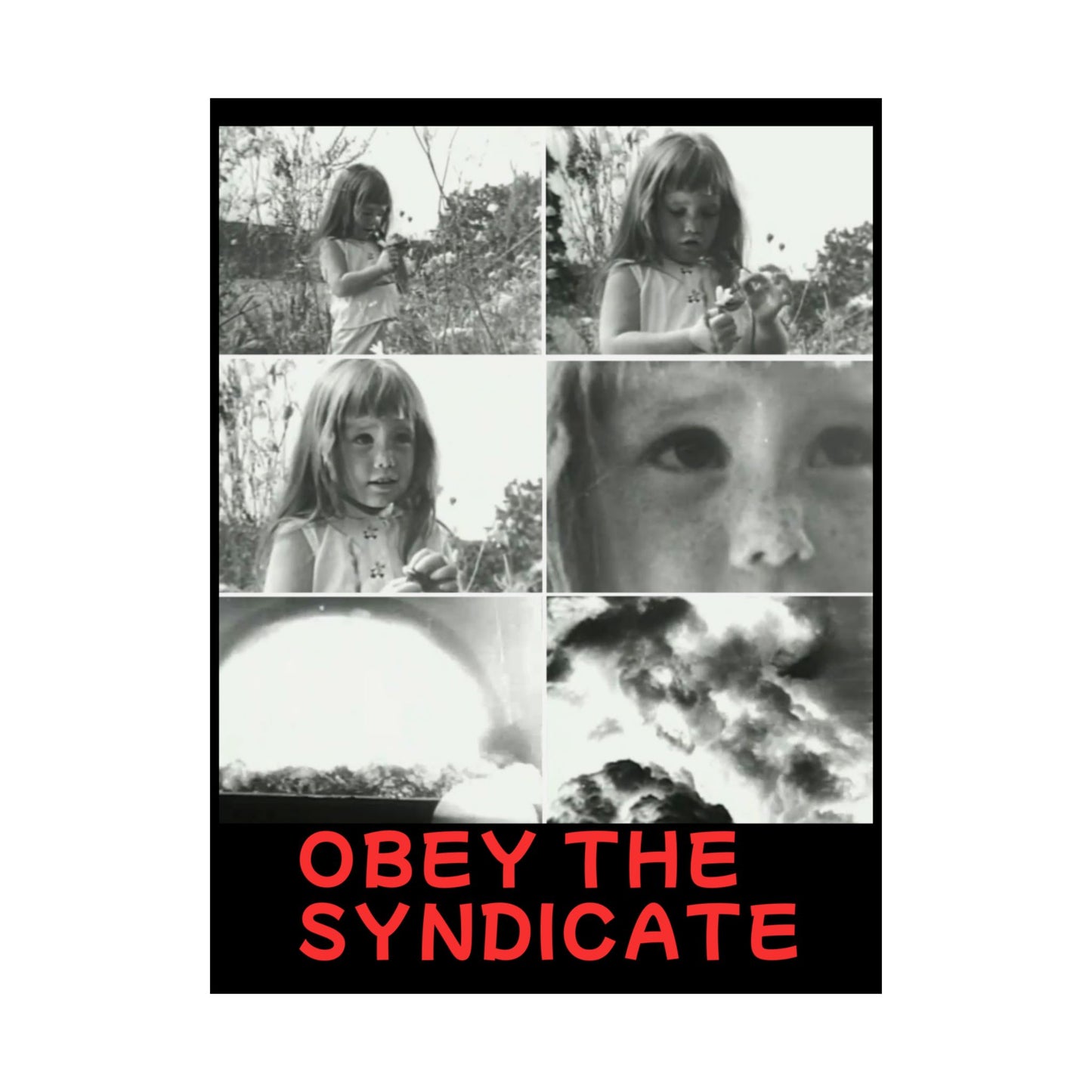 Obey the Syndicate Wall Art, Vintage Black and White Poster (Retro Photography Print, Alternative Art Piece)