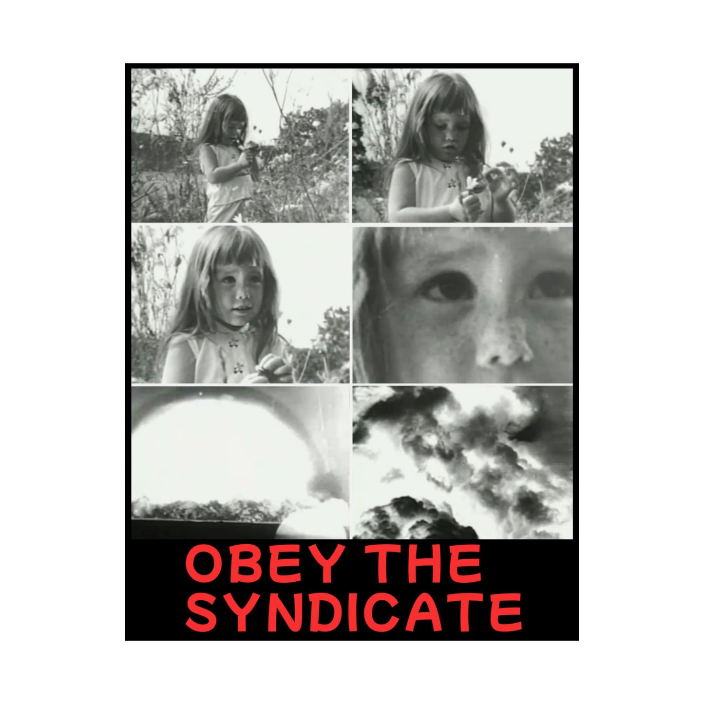 Obey the Syndicate Wall Art, Vintage Black and White Poster (Retro Photography Print, Alternative Art Piece)